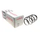Пружина (передня) Renault Grand Scenic/Scenic 1.4/1.6 16V 09- (вен)/Megane CC 1.4TCe 10- (кабр)