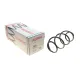 Пружина (передня) Renault Clio 1.5dCi 05-14/1.6 16V АКПП/2.0 16V МКПП 10-14/Modus 10- (ун/накл.з.ч)