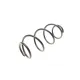 Пружина (передня) Renault Clio 1.5dCi 05-14/1.6 16V АКПП/2.0 16V МКПП 10-14/Modus 10- (ун/накл.з.ч)