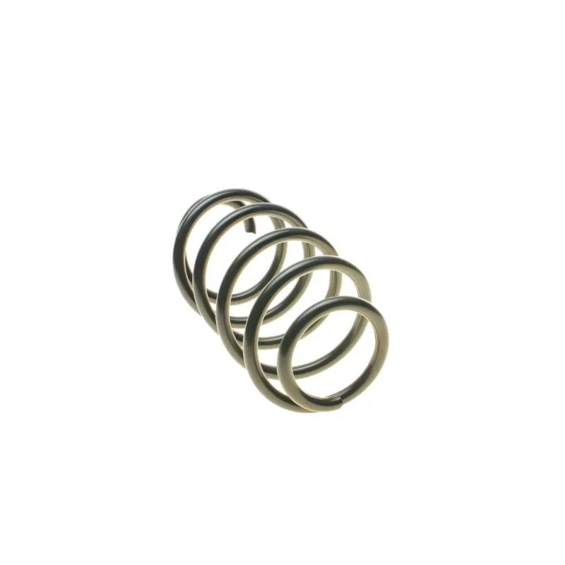 Пружина передньої підвіски LESJOFORS 4095088 для Volkswagen Passat B6/CC B7, 2.4 кг
