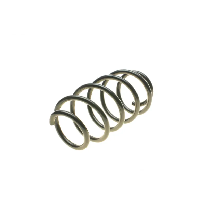 Пружина передньої підвіски LESJOFORS 4095088 для Volkswagen Passat B6/CC B7, 2.4 кг