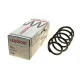 Пружина передньої підвіски LESJOFORS 4095146 для Volkswagen Passat B6/B7 2005-2014 (седан/універсал)