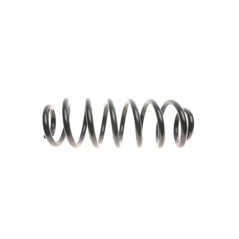 Пружина задня LESJOFORS 4204256 для Audi A3, VW Passat B6/B7 (накл. з.ч.)