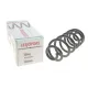 Пружина задня LESJOFORS 4208476 для BMW X5 E70/F15/F85 xDrive 2007-2018