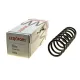 Пружина задня LESJOFORS 4208497 для BMW 5 (F10) 520d-535d xDrive 2011-2016 седан