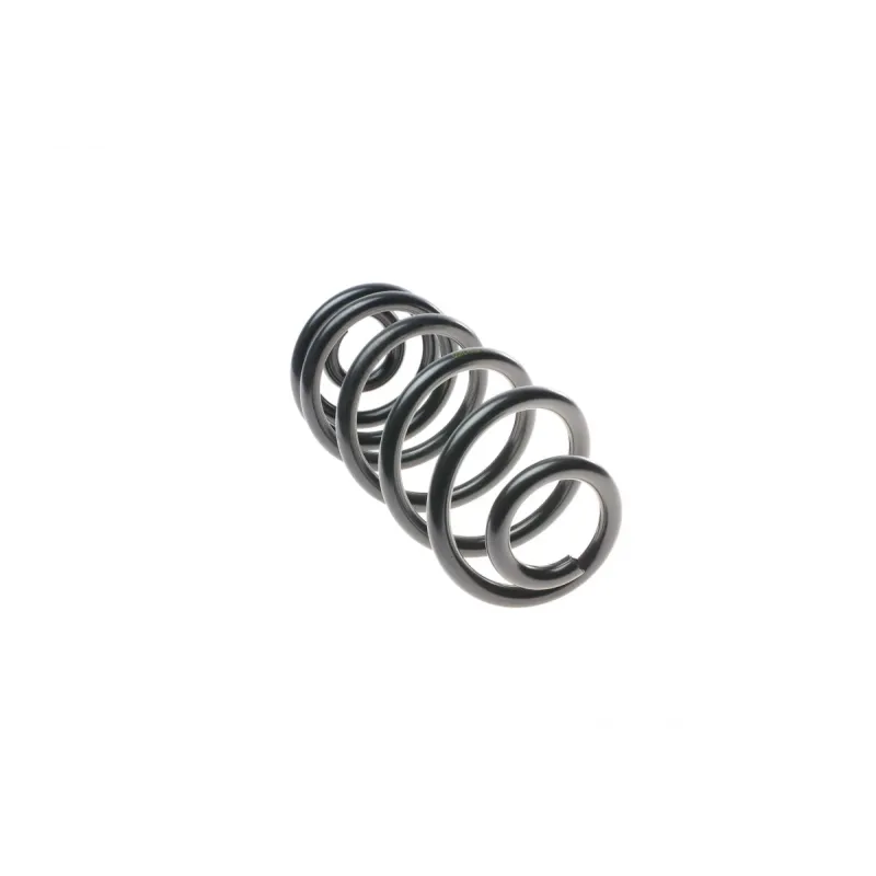 Пружина (задня) BMW X6 (E71/E72) 30d/35d/i/40d/50i xDrive 07-14 (SUV) (з пост.d)(без AdaptiveDrive)