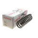 Пружина задня LESJOFORS 4256824 для Mercedes-Benz E-Class W210 1995-2002 (Classic/Elegance)