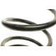 Пружина задня LESJOFORS 4256907 для Mercedes-Benz Citan, Renault Kangoo 2009-2021