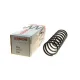 Пружина задня LESJOFORS 4262027 для Nissan Terrano, Ford Maverick, 3.63 кг