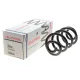 Пружина задня LESJOFORS 4262065 для Nissan Qashqai J10, Dualis J10 2007-2014