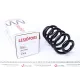 Пружина задня LESJOFORS 4262067 для Nissan X-Trail T31 2007-2014