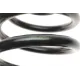 Пружина (задня) Opel Vivaro A/B 1.9-2.5DTI 01-/Renault Trafic III 1.6dCi 14- (фург) (з пост.d) (HD)