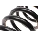 Пружина задня LESJOFORS 4263495 для Chevrolet Captiva, Opel Antara (без системи регулювання дорожнього просвіту)