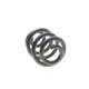 Пружина (задня) VW T5/T6/Multivan V/VI 1.9-2.0TDI/2.5TDI/3.2 V6 03- (фургон/з борт.пл)(з пост.діам)