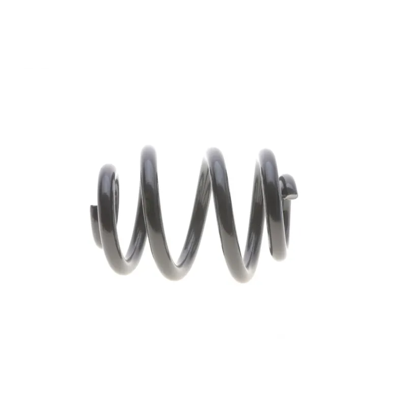 Пружина (задня) VW T5/T6/Multivan V/VI 1.9-2.0TDI/2.5TDI/3.2 V6 03- (фургон/з борт.пл)(з пост.діам)