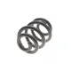 Пружина (задня) VW T5/T6/Multivan V/VI 1.9-2.0TDI/2.5TDI/3.2 V6 03- (фургон/з борт.пл)(з пост.діам)