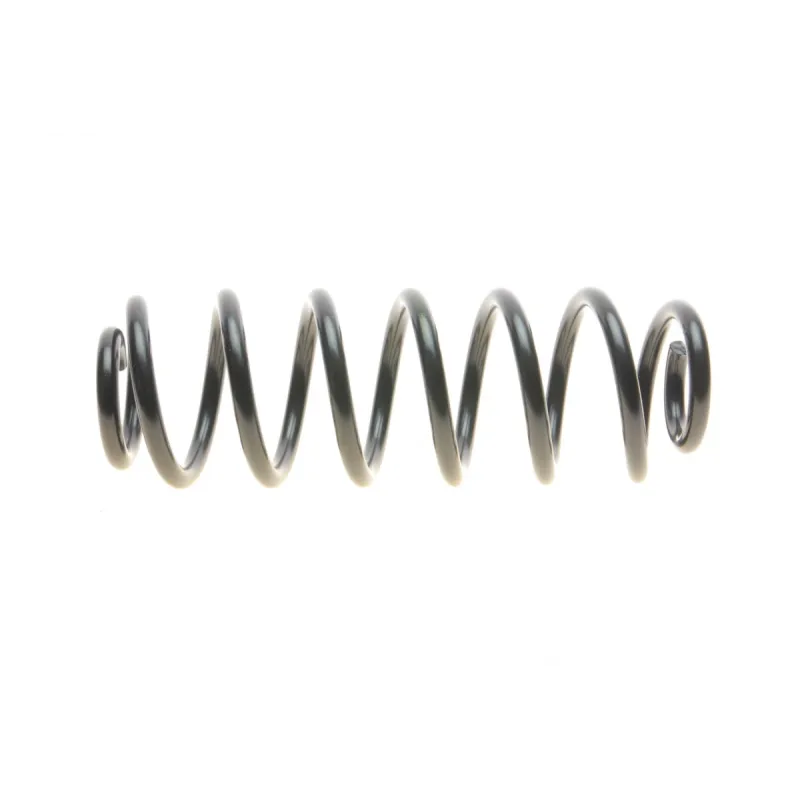 Пружина задня LESJOFORS 4295084 для VW Passat B6/B7, Skoda Superb II, універсал/седан, 2.9 кг