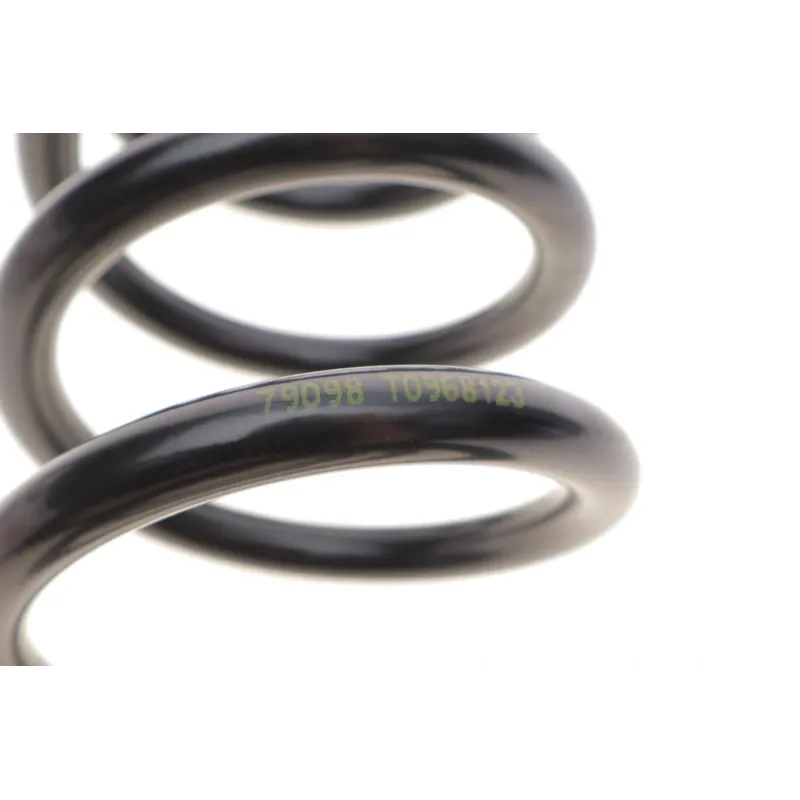 Пружина задня LESJOFORS 4295086 для Volkswagen Touareg 7LA 2002-2010