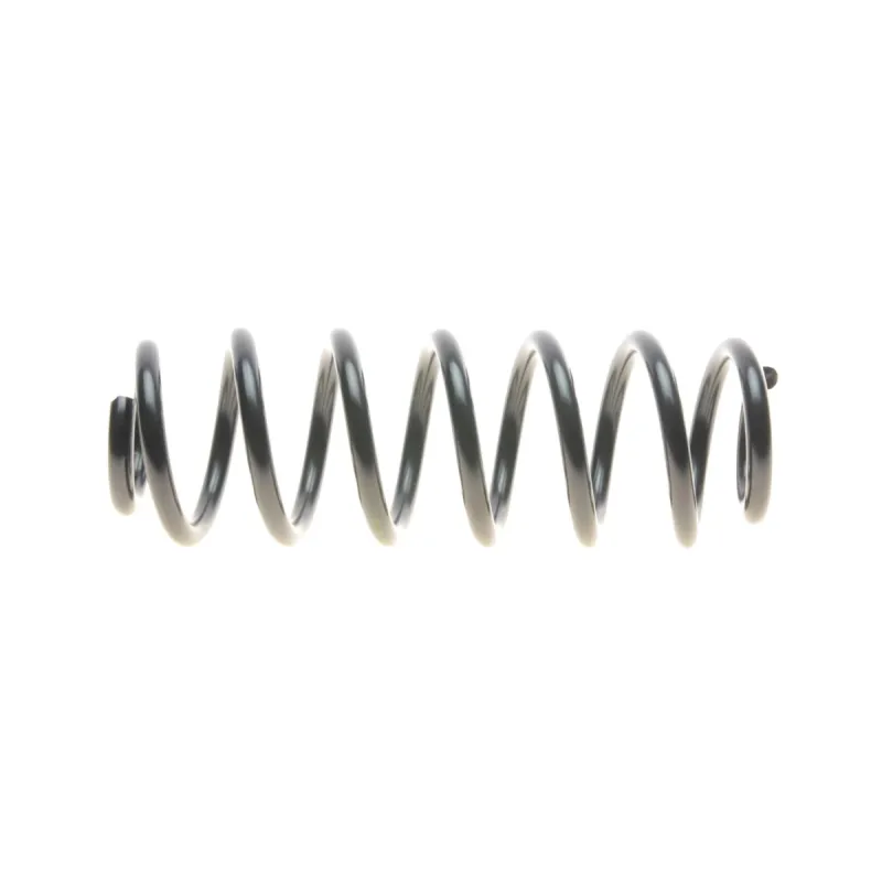 Пружина задня LESJOFORS 4295108 для Volkswagen Passat B6/B7 2005-2014 (універсал, спорт. ходова)