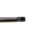 Амортизатор капоту BMW 1 (F20/F21)/2 (F22/F87)/3 (F30/F80)/4 (F32/F82) 11- (седан/купе/хетчб./унів.)