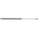 Амортизатор кришки багажника LESJOFORS 8162047 для Nissan Qashqai J10 2007-2013 задній