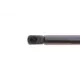 Амортизатор кришки багажника LESJOFORS 8172922 для Renault Megane Scenic 1996-2003