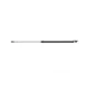 Амортизатор кришки багажника Toyota Land Cruiser 100 98-07 (всюдихід)/Lexus LX 470 98-08 (L) (SUV)