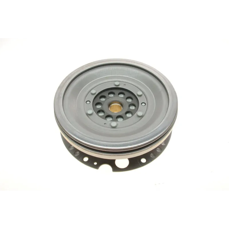 Демпфер зчеплення Audi A3/A4/A5/A6/A7/Q5 3.0 TDI 07-18, DSG7-0BT/0BH (DQ500)