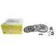 Демпфер + комплект зчеплення +вижимний Renault Espace/Laguna 1.9 dCi 02-