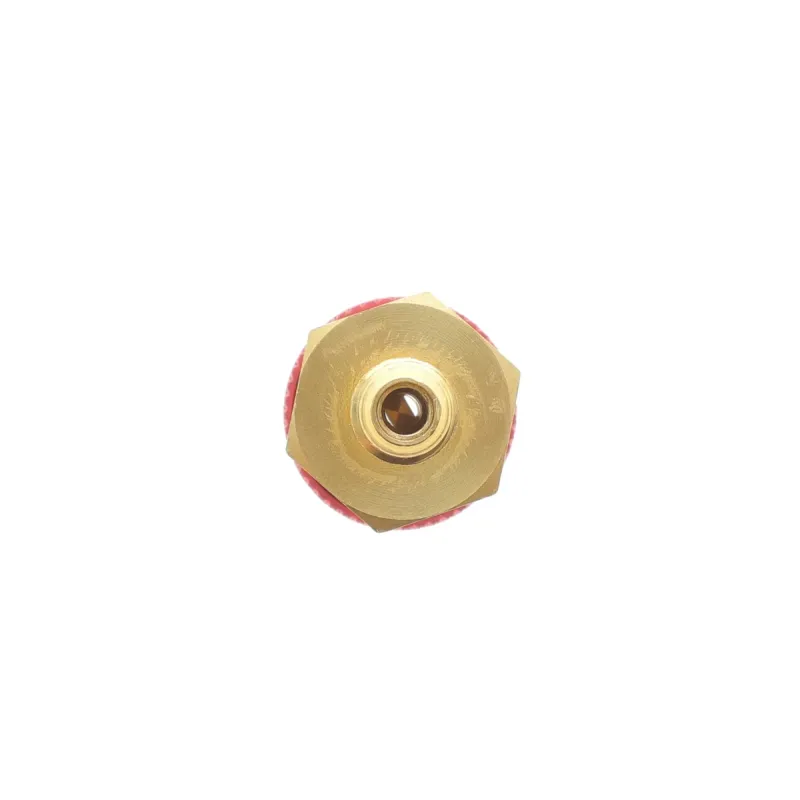 Швидкоз'ємне з'єднання MAGNETI MARELLI R1234yf (ВТ) 007936211118