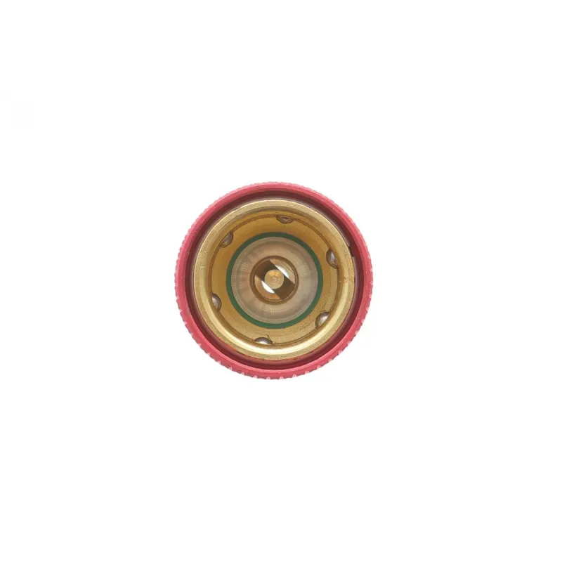 Швидкоз'ємне з'єднання MAGNETI MARELLI R1234yf (ВТ) 007936211118