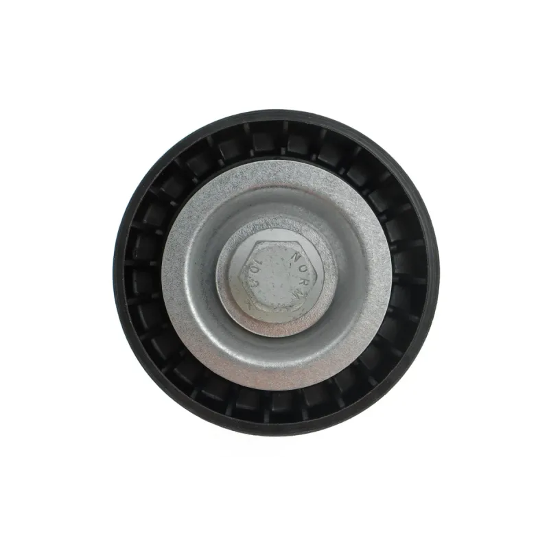 Ролик генератора паразитний MAGNETI MARELLI 331316170055 для Fiat Ducato, Iveco Daily (70х29)