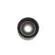 Ролик генератора натяжний MAGNETI MARELLI 331316171201 для BMW 1 (E81/E87) 2.0D/3.0D 2003-2012