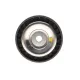 Ролик генератора паразитний MAGNETI MARELLI 331316171256 для BMW X5 (E70) 3.0D 2007-2013 (80x26)
