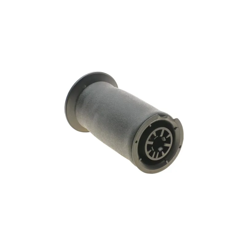 Подушка пневмопідвіски (ззаду) BMW 5 (E61) 04-10 N43/N47/N52/N62 (5602AB)