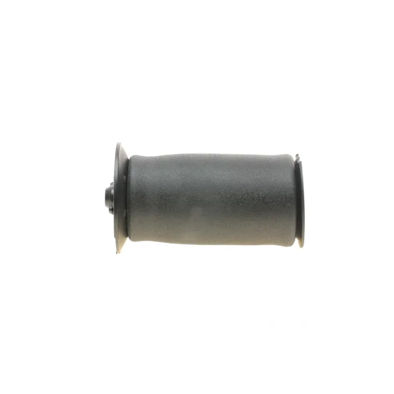 Подушка пневмопідвіски (ззаду) BMW 5 (E61) 04-10 N43/N47/N52/N62 (5602AB)