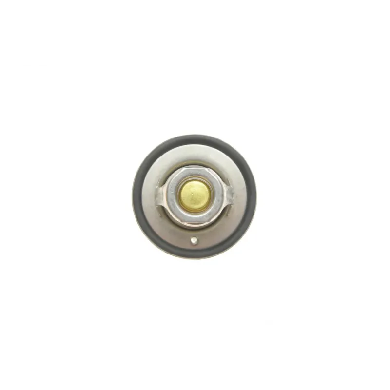 Термостат MAGNETI MARELLI 352317100370 для Ford Transit 2.0i/2.3 (88°C)