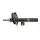 Амортизатор передній правий MAGNETI MARELLI 352516070100 для Ford Transit Connect 2002-2013
