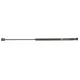 Амортизатор кришки багажника MAGNETI MARELLI 430719016500 для Opel Astra G 1998-2005 (хетчбек), 536.5 мм
