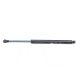 Амортизатор кришки багажника MAGNETI MARELLI 430719058200 для BMW 5 (E39) 1995-2003, 346 мм