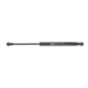Амортизатор капоту MAGNETI MARELLI 430719066900 для BMW 5 (E60/E61) 2003-2010, 313 мм