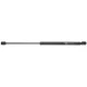 Амортизатор кришки багажника MAGNETI MARELLI 430719085700 для Volkswagen Golf Plus V (5M1, 521) 2005-2013, 480 мм