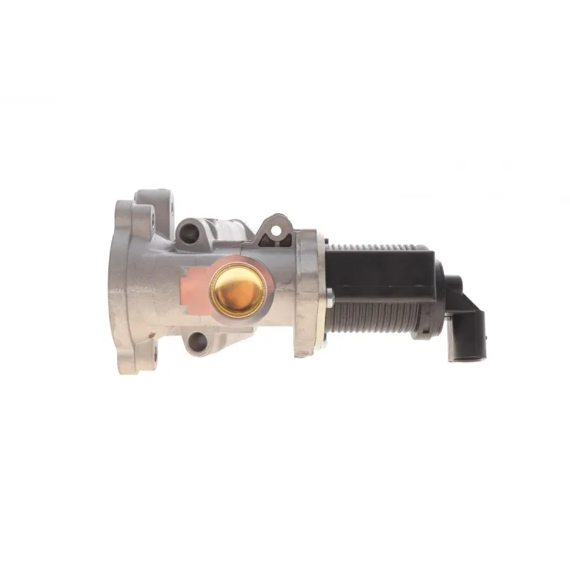 Клапан EGR Fiat Doblo/ Opel Astra 1.3 D 05- (EV001)