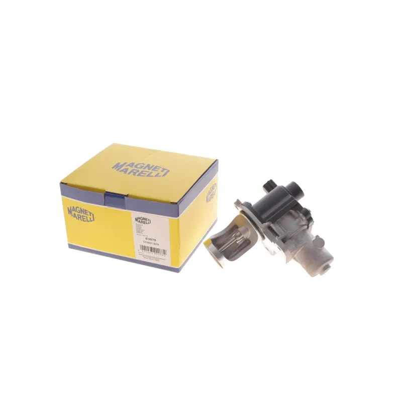 Клапан EGR VW Caddy/T5 1.9TDI 75kw 03- (EV079)