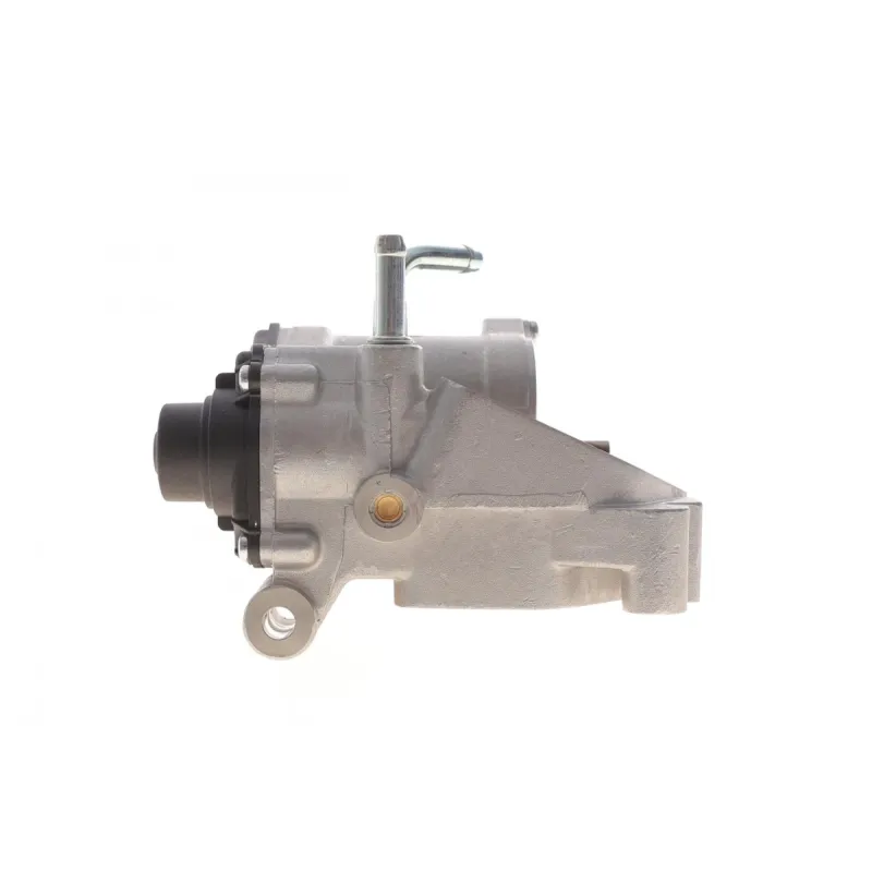 Клапан EGR Renault Master II 3.0dCi 03- (EV129)