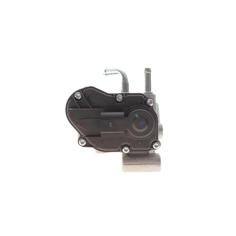 Клапан EGR Renault Master II 3.0dCi 03- (EV129)
