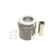 Поршень MAHLE 002 79 00 для Mercedes-Benz T2/LN1 711 D, 811 D, 814 D (97,50 мм/STD)