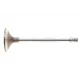 Клапан впускний MAHLE 007 VE 30720 000 для Fiat Ducato 2.5-2.8JTD 1994-2006, 41x8x120.8 мм