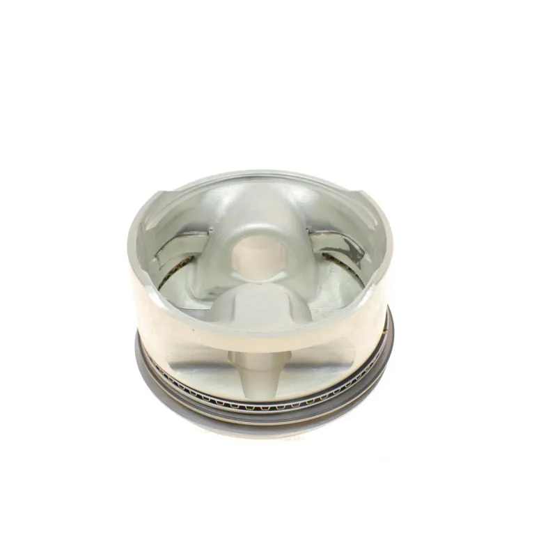 Поршень Opel Astra/Kadett 1.6i 86-05 (79.50mm/+0.5)