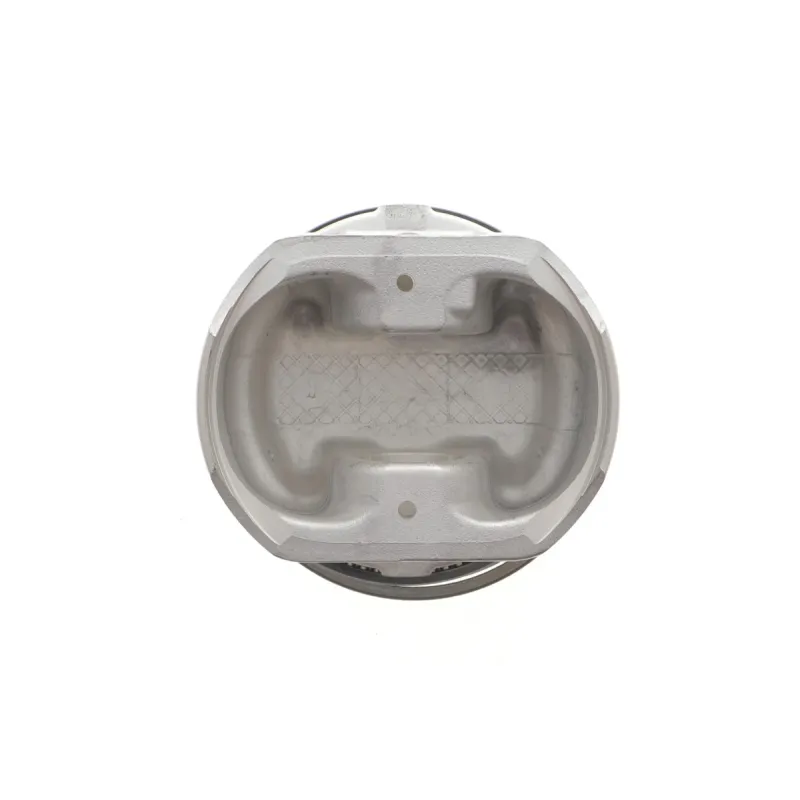 Поршень Renault Megane II-III/Scenic II-III 1.6 02- (79.5mm/STD)